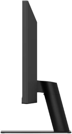 LG UltraWide 29 Inch 100Hz FHD IPS Monitor